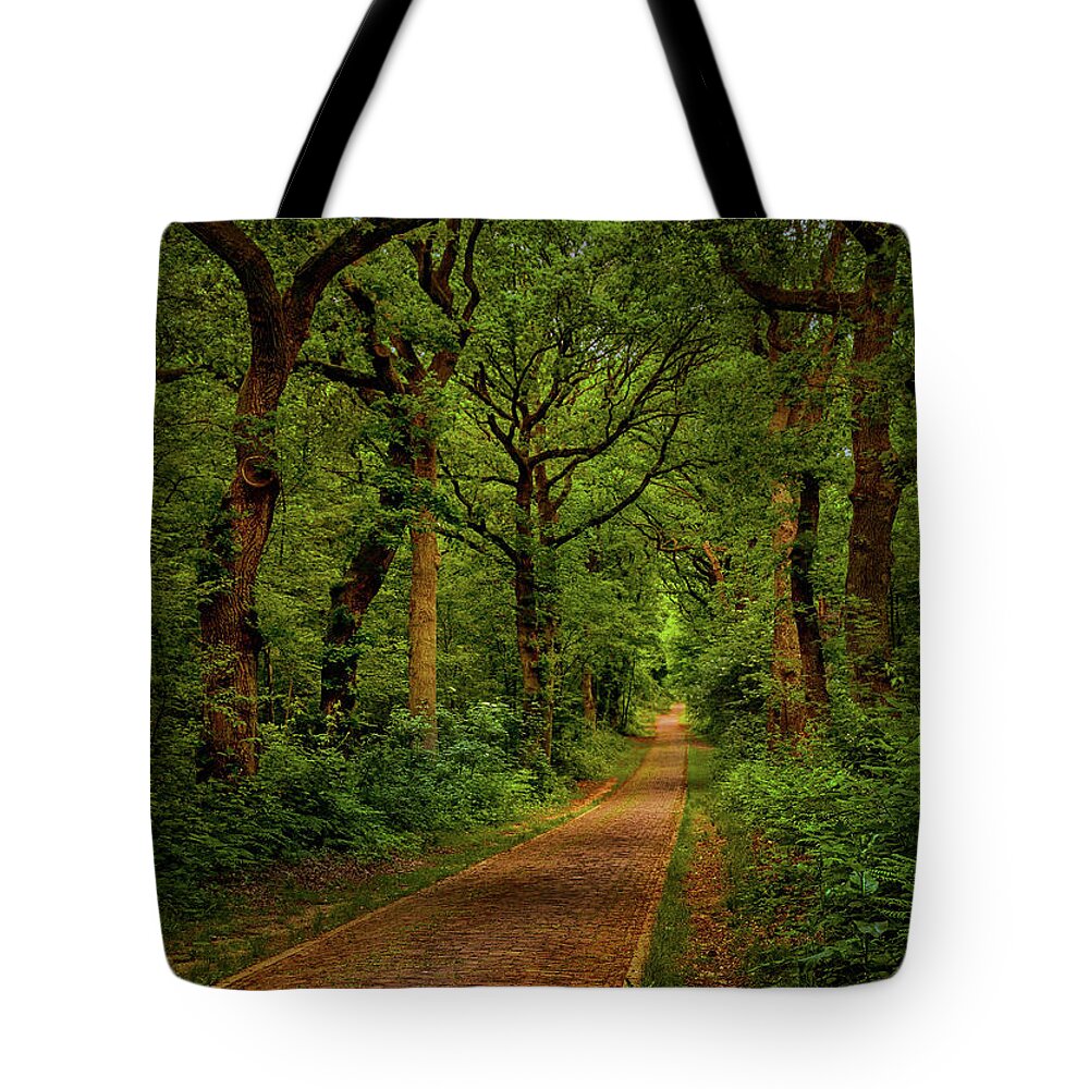 Doorwerth Tote Bag featuring the photograph Forest lane in Doorwerth by Tim Abeln