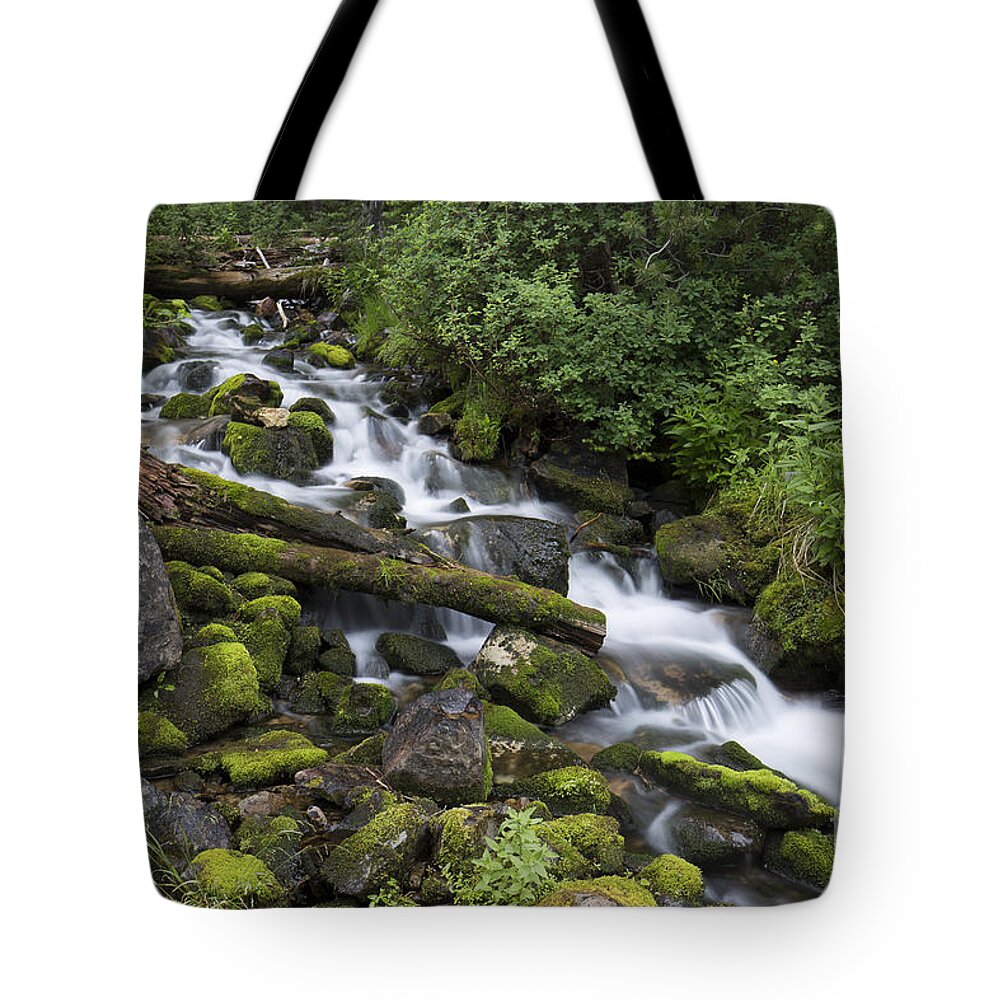 Beaverhead Mountains Tote Bag featuring the photograph Forest Melody by Idaho Scenic Images Linda Lantzy