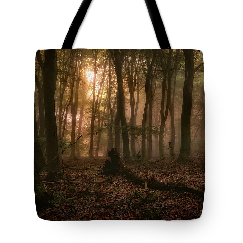 Autumn Tote Bag featuring the photograph Forest of the dancing trees by Tim Abeln