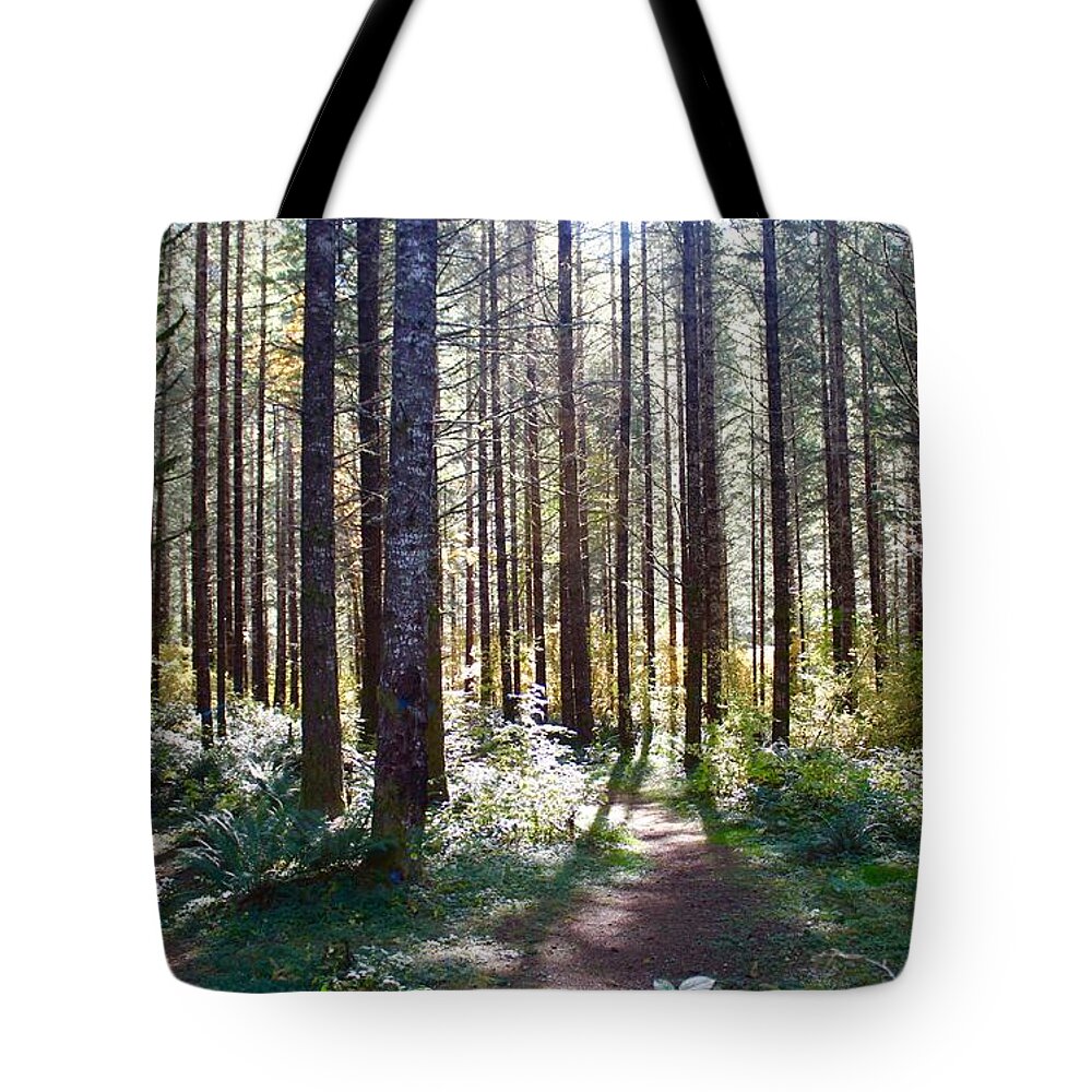 Forest Tote Bag featuring the photograph Forest Stroll by Brian Eberly