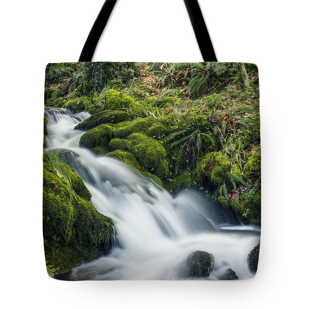 Water Tote Bag featuring the photograph Forest Treasures by Ian Mitchell
