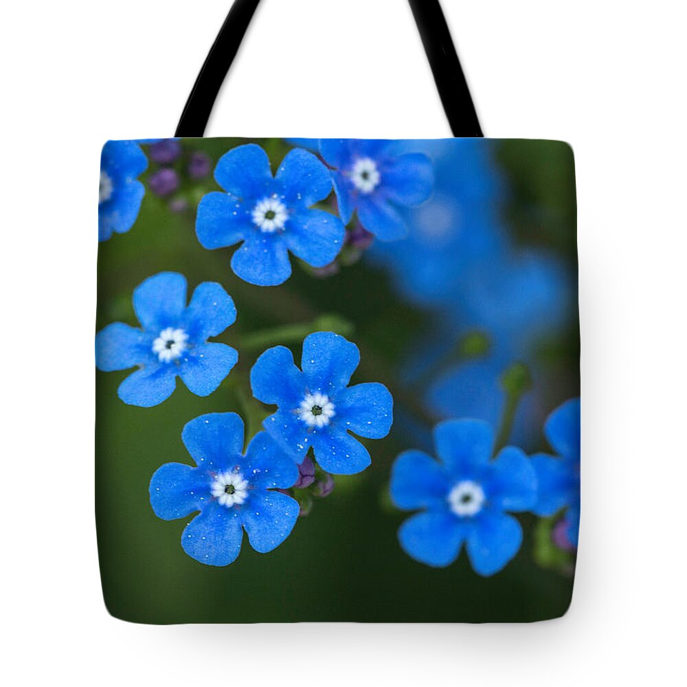 Brunnera Macrophylla Tote Bag featuring the photograph Forget-Me-Not by Arlene Carmel