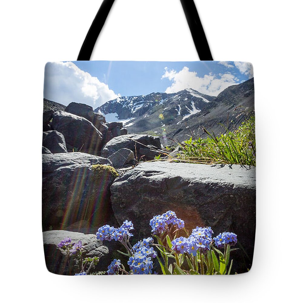 Forget-me-not Tote Bag featuring the photograph Forget-Me-Not Vignette by Tim Newton