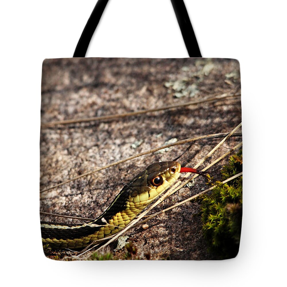 Garter Snake Tote Bag featuring the photograph Forked Tongue by Debbie Oppermann