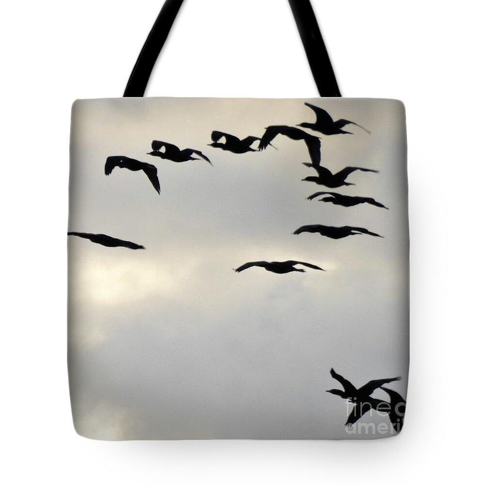 Pelicans Tote Bag featuring the photograph Formations Over The Sea by Jan Gelders