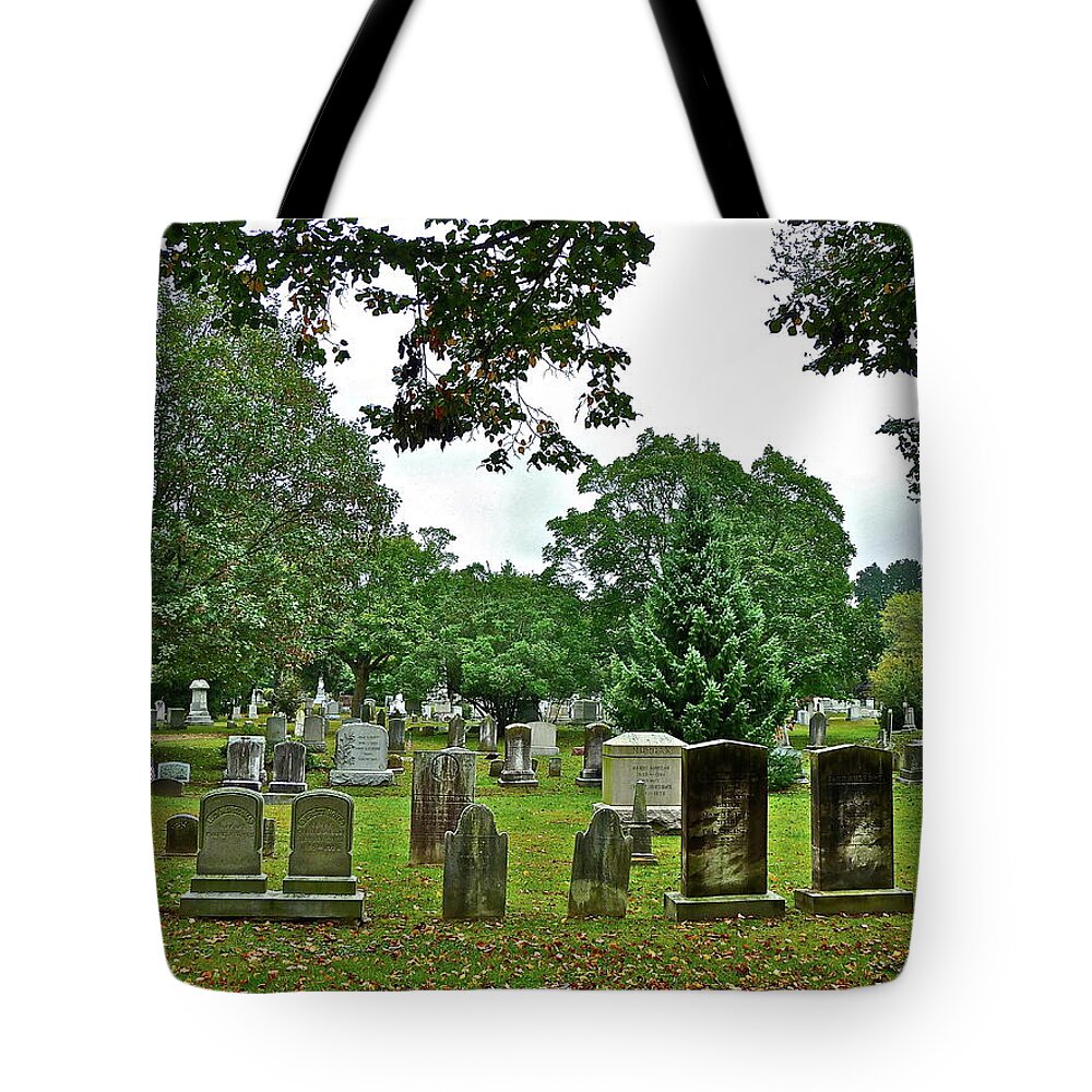 Graves Tote Bag featuring the photograph Former Neighbors by Diana Hatcher