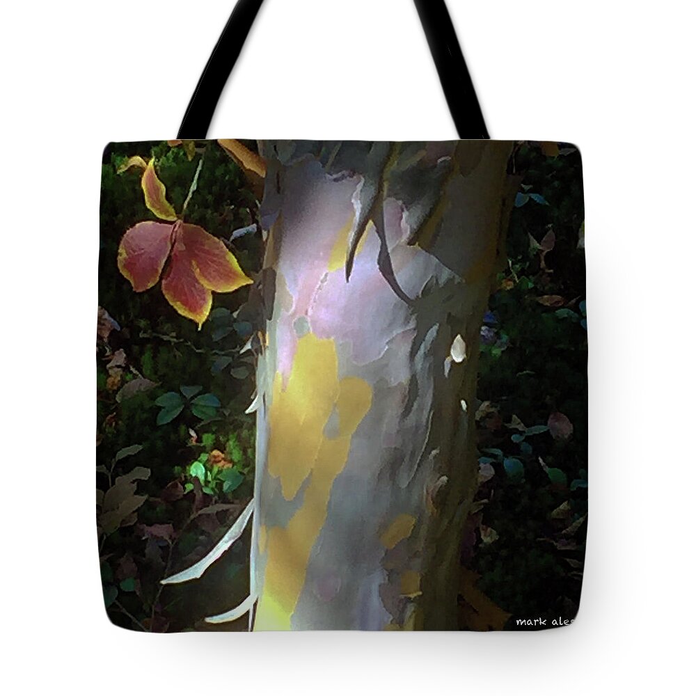 Tree Tote Bag featuring the photograph Forms by Mark Alesse