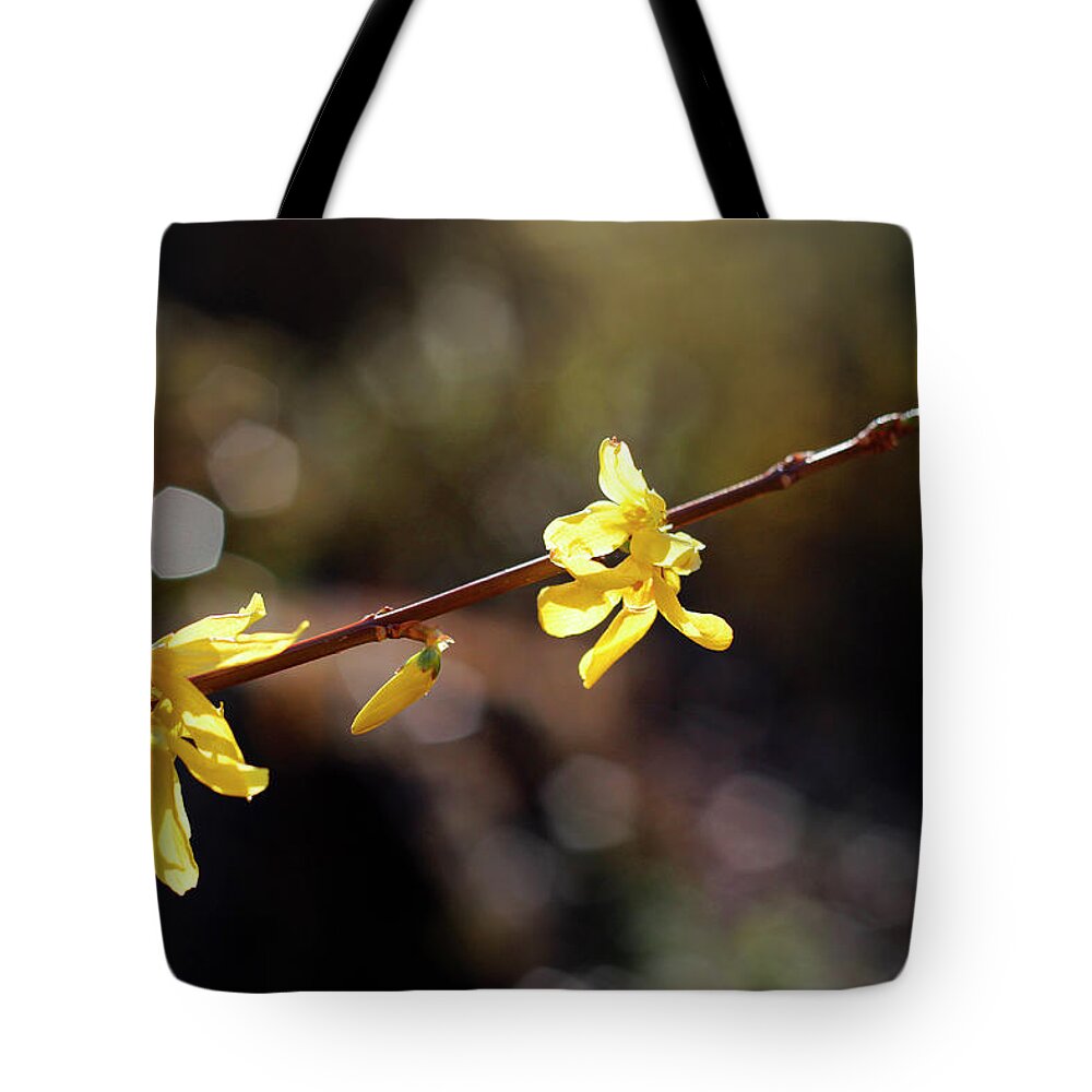 Nature Tote Bag featuring the photograph Forsythia flowers by Helga Novelli