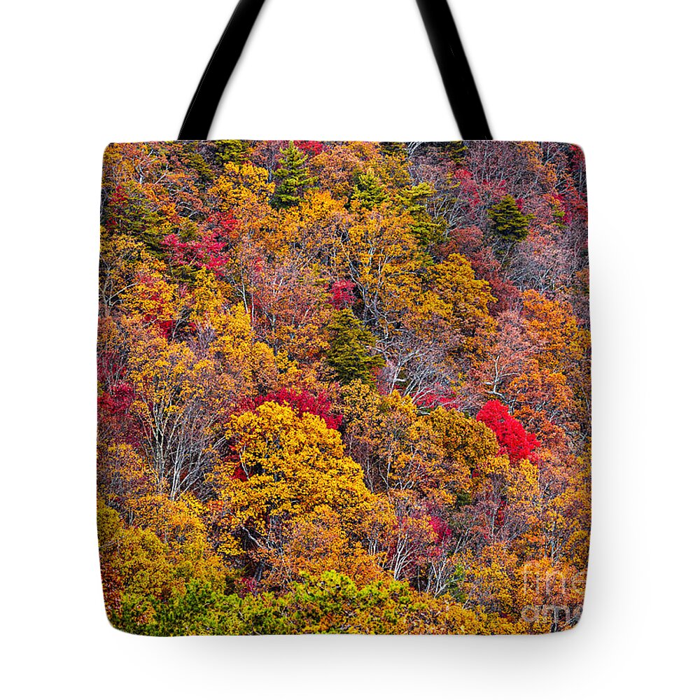 Fort-mountain Tote Bag featuring the photograph Fort Mountain State Park #2 by Bernd Laeschke