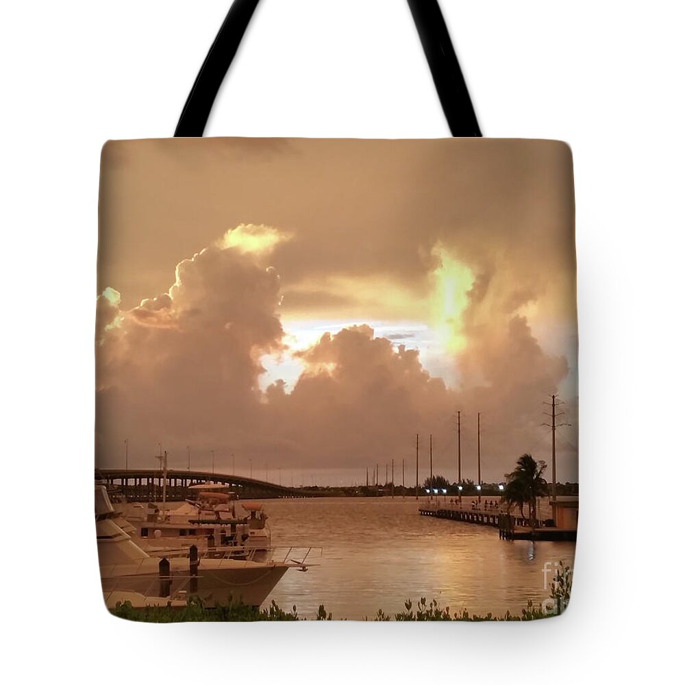 Florida Tote Bag featuring the photograph Fort Myers Sunset by Lori Moon