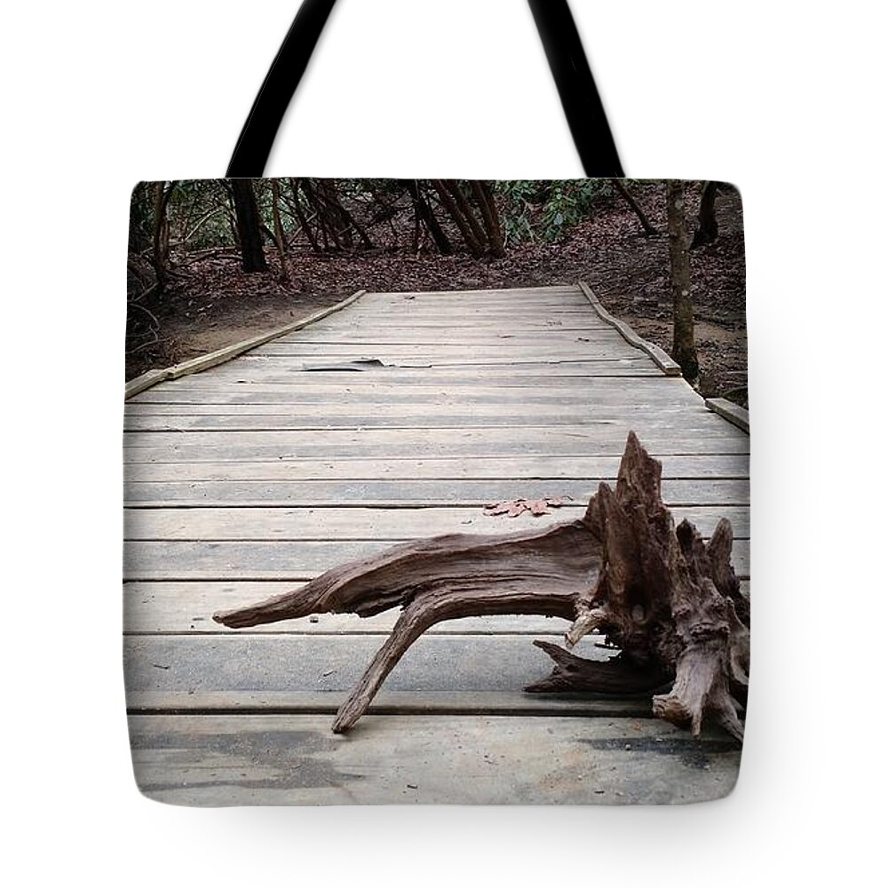 Nature Tote Bag featuring the photograph Found Nature by Anita Adams