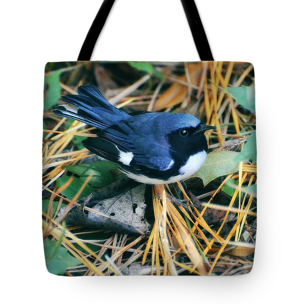 Cape May Tote Bag featuring the photograph Found Treasure by Jennifer Kozlansky