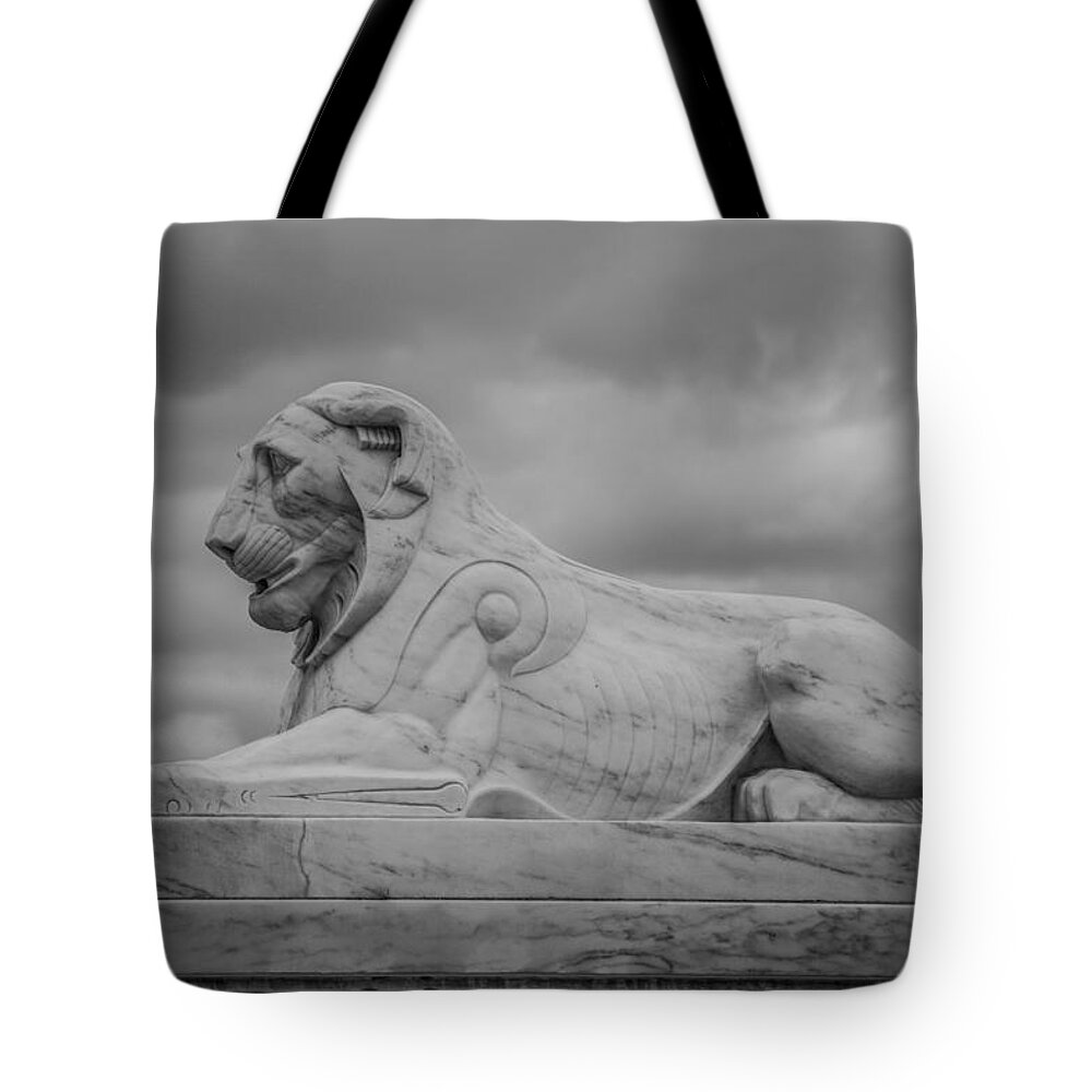 Lion Tote Bag featuring the photograph Fountain Lion by Pravin Sitaraman