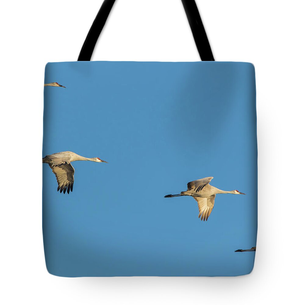 Landscape Tote Bag featuring the photograph Four in Formation by Marc Crumpler
