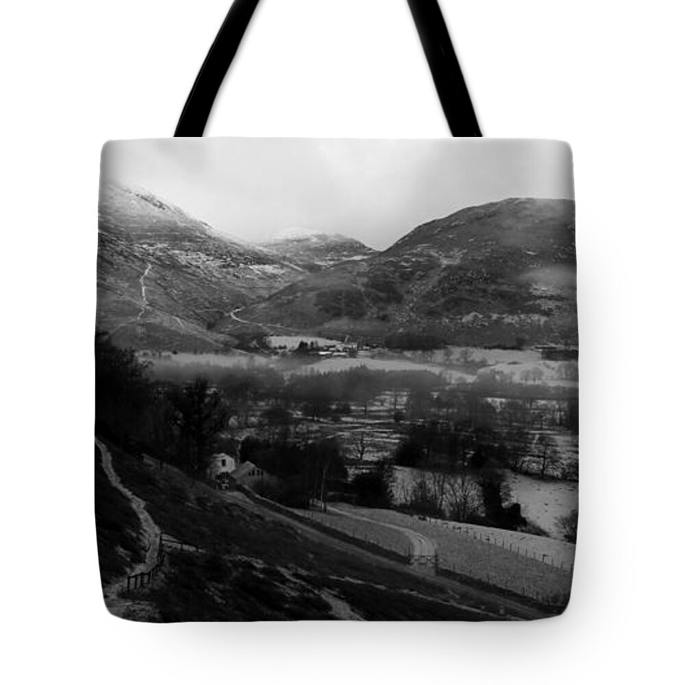 Nature Tote Bag featuring the photograph Four Tops black and white by Lukasz Ryszka
