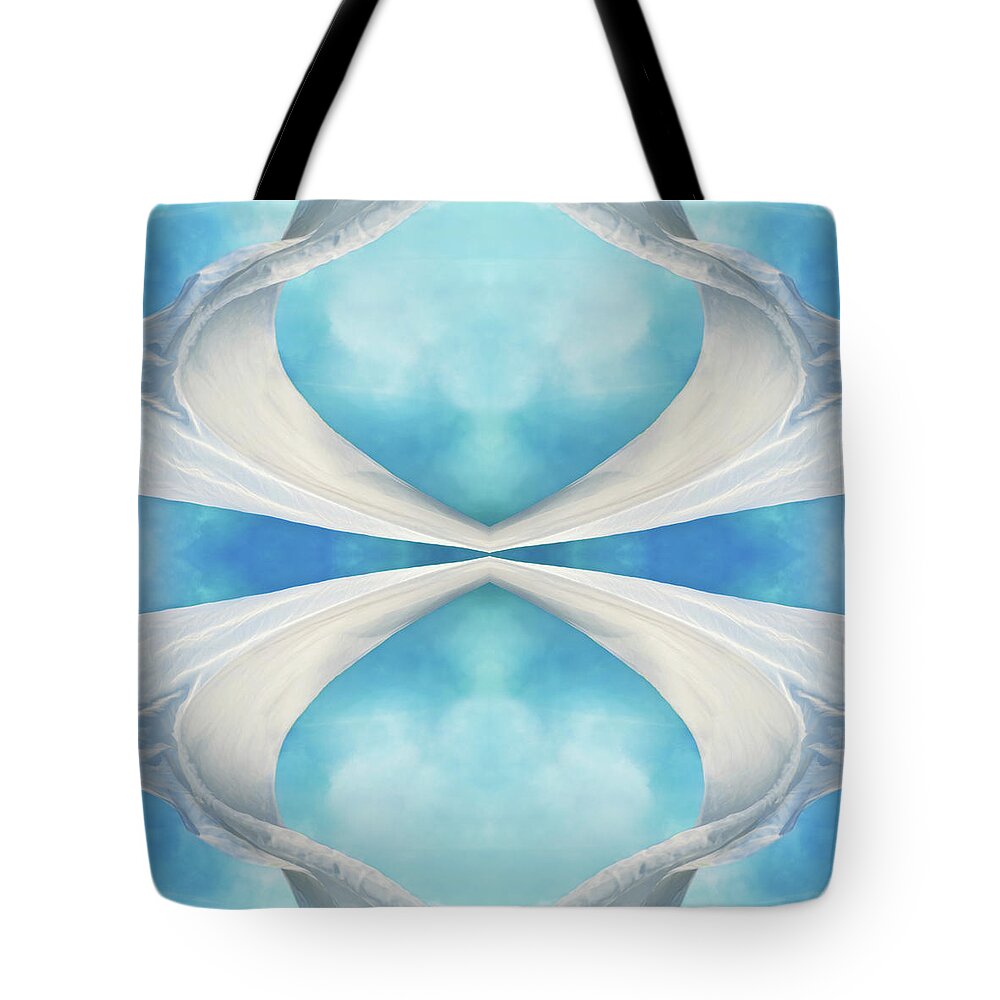 Abstract Tote Bag featuring the photograph Four Winds by Laura Fasulo