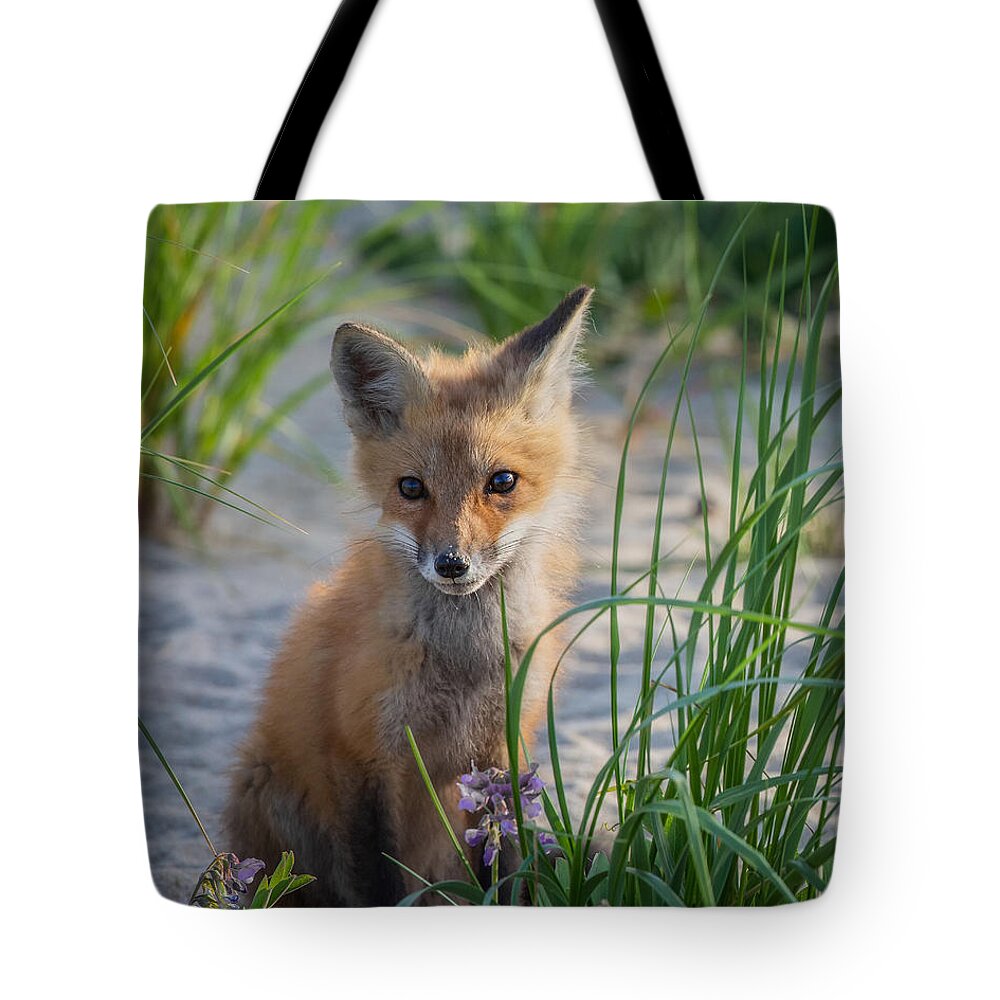 Red Fox Tote Bag featuring the photograph Fox Kit by Bill Wakeley