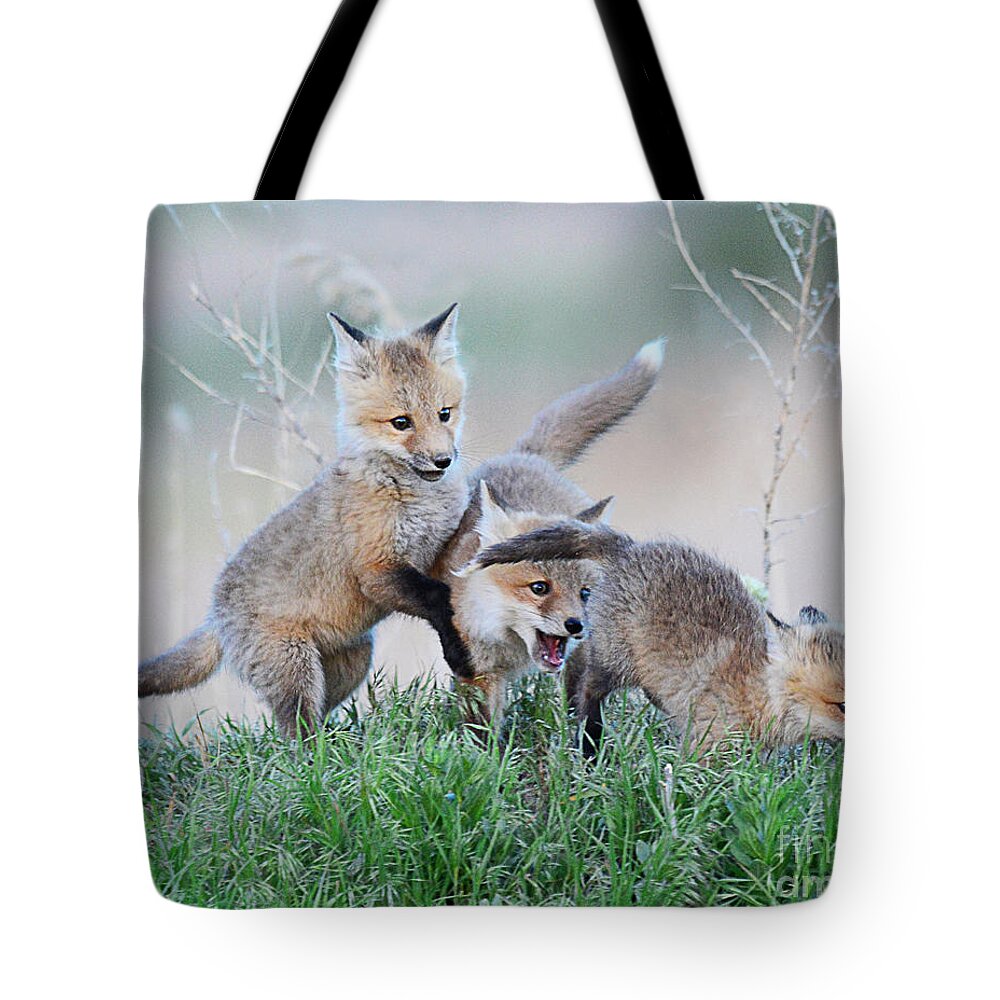 Mammal Tote Bag featuring the photograph Fox Kits at Play by Dennis Hammer