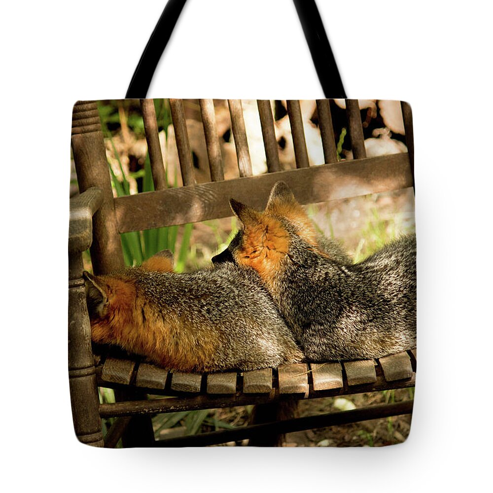 Fox Tote Bag featuring the photograph Foxes in a Chair by Ryan Stoddard