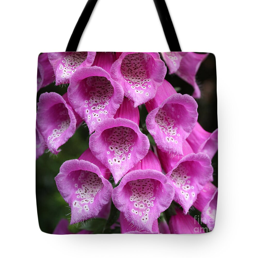Flowers Tote Bag featuring the photograph Foxglove by Edward R Wisell