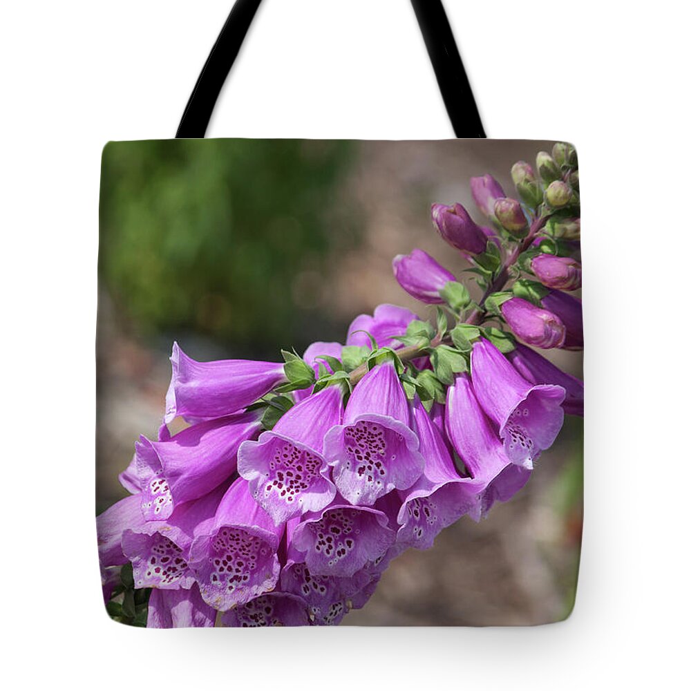 Photograph Tote Bag featuring the photograph Foxglove by Suzanne Gaff