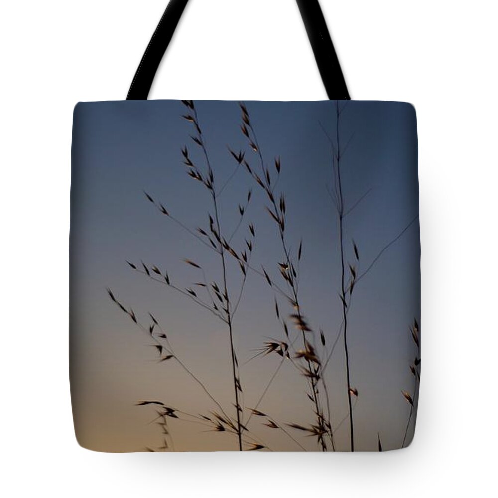 Sunset Tote Bag featuring the photograph Foxtail Sunset by Alex King