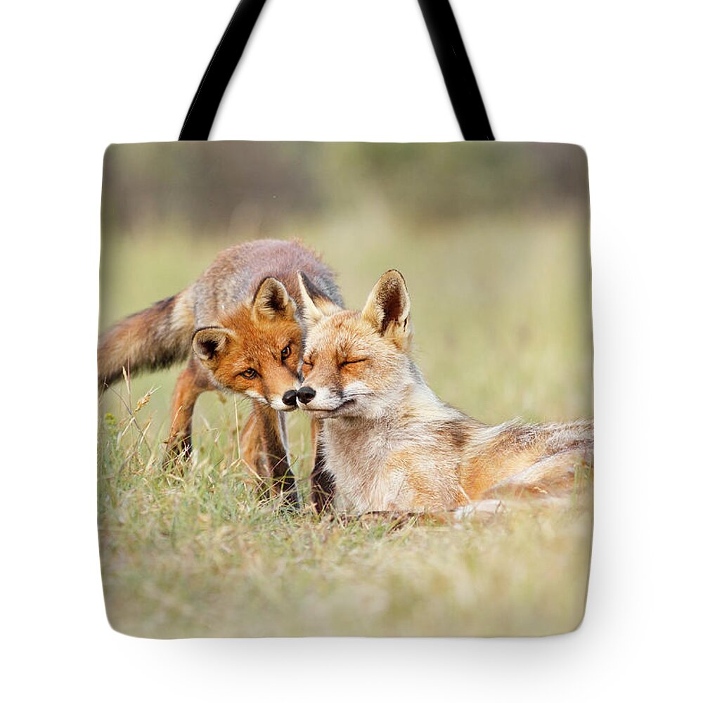 Red Fox Tote Bag featuring the photograph Foxy Love - Mother fox and fox kit by Roeselien Raimond