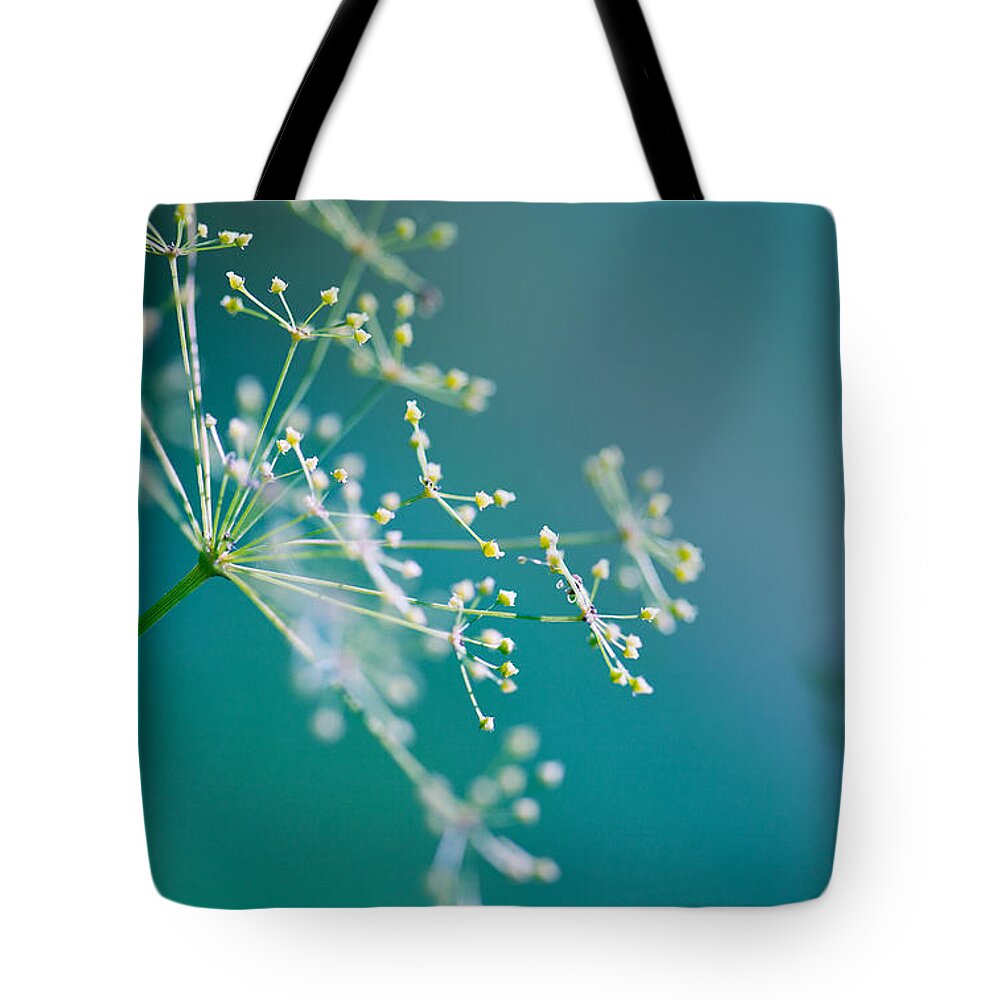 Dill Tote Bag featuring the photograph Fragile Dill Umbels by Nailia Schwarz