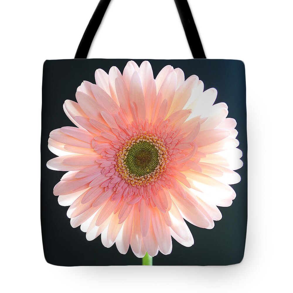 Nature Tote Bag featuring the photograph Fragile by Melanie Moraga