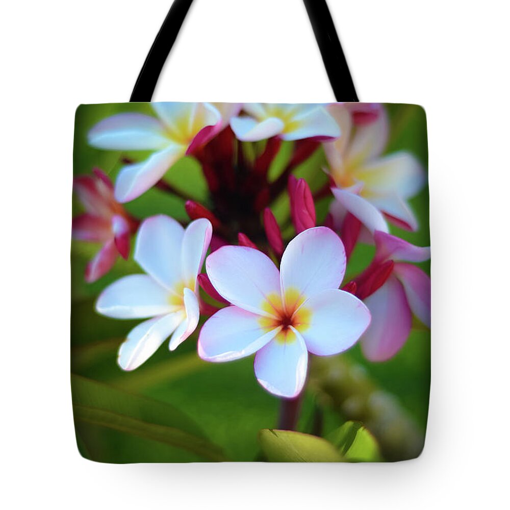Photograph Tote Bag featuring the photograph Fragrant Sunset by Kelly Wade