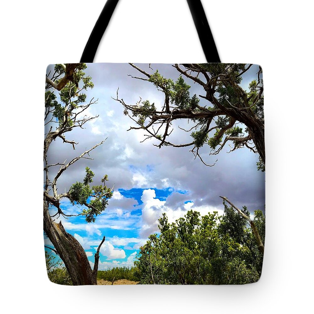 Clouds Tote Bag featuring the photograph Frame By Juniper by Brad Hodges