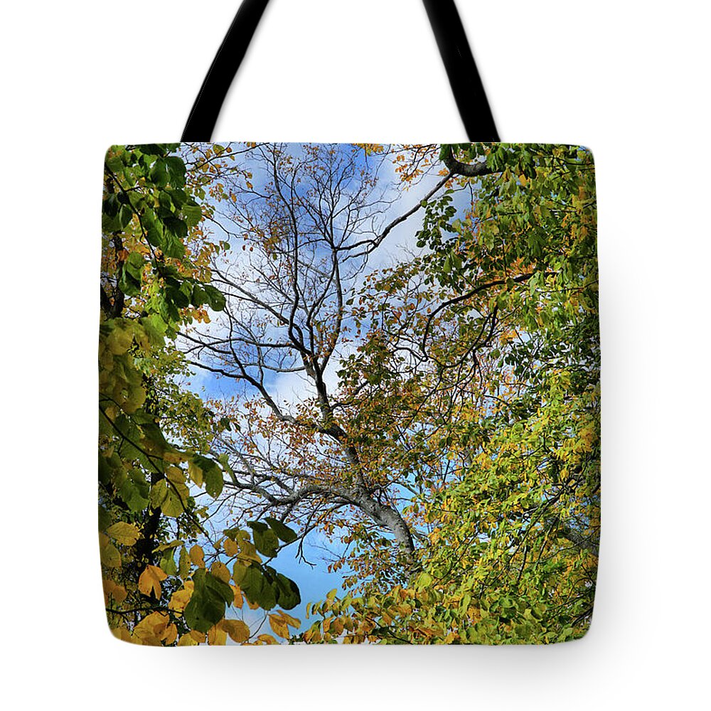 Nature Tote Bag featuring the photograph Framed by nature by Lilia S