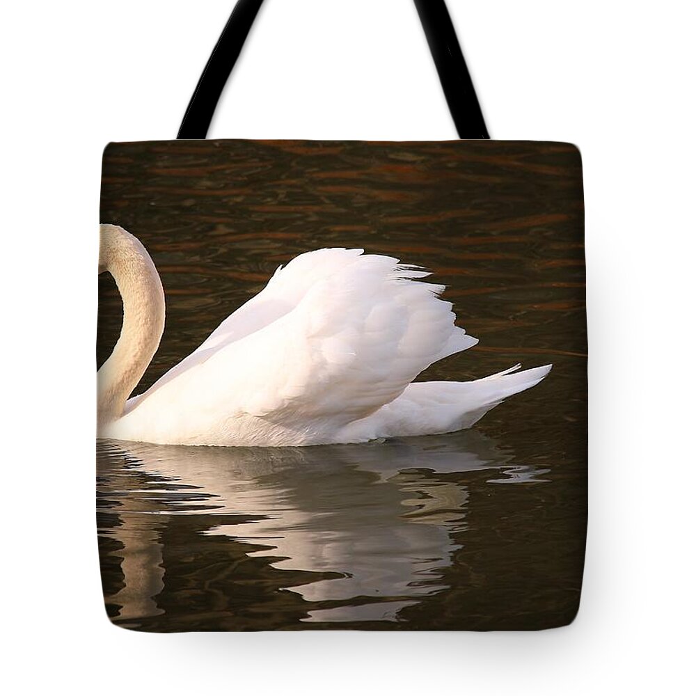 Mute Swan Tote Bag featuring the photograph Frank's Swan by Carol Montoya