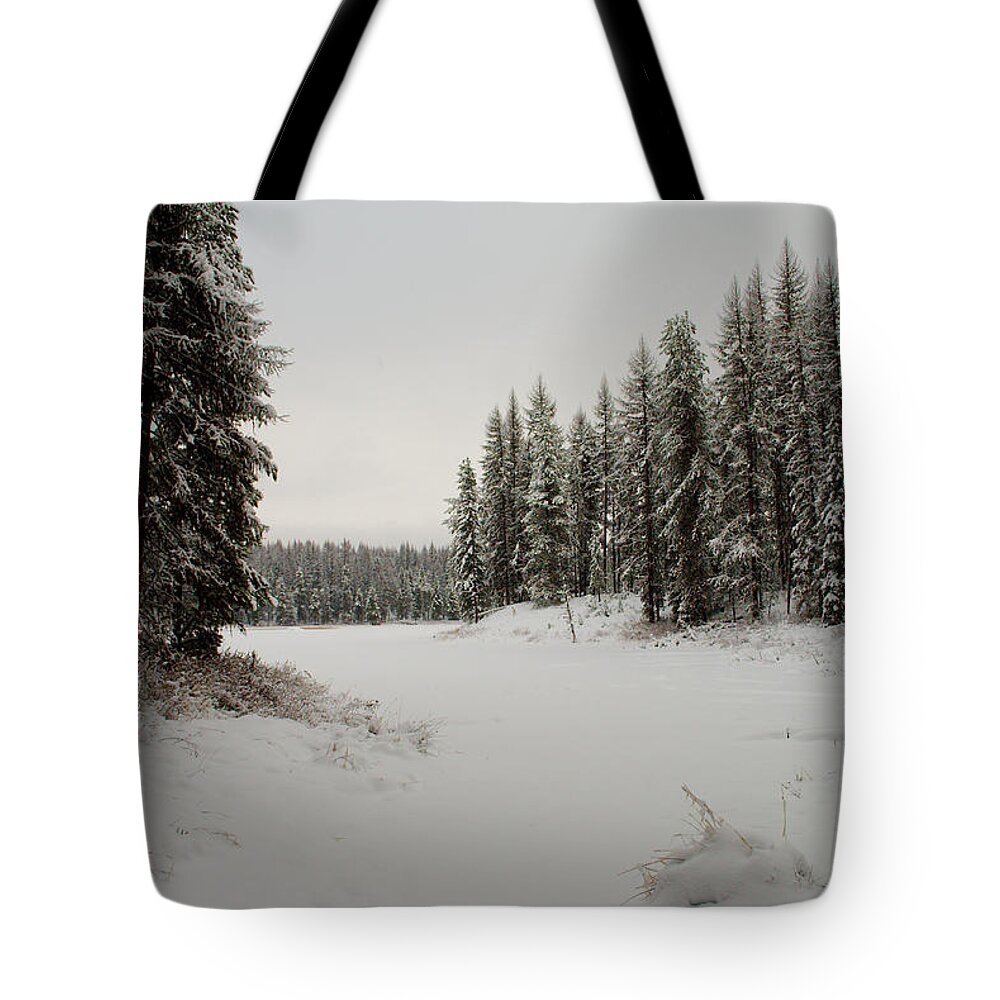 Frater Lake Tote Bag featuring the photograph Frater Lake by Troy Stapek