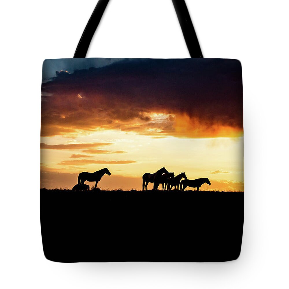 Wild Horses Stallion Equine Horse Art Tote Bag featuring the photograph Free Interdependent Souls by Dirk Johnson