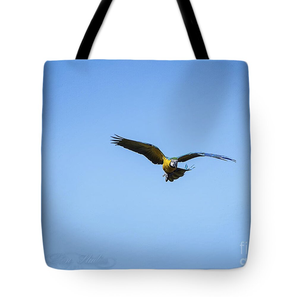 Photoshop Tote Bag featuring the photograph Free Flying Macaw by Melissa Messick