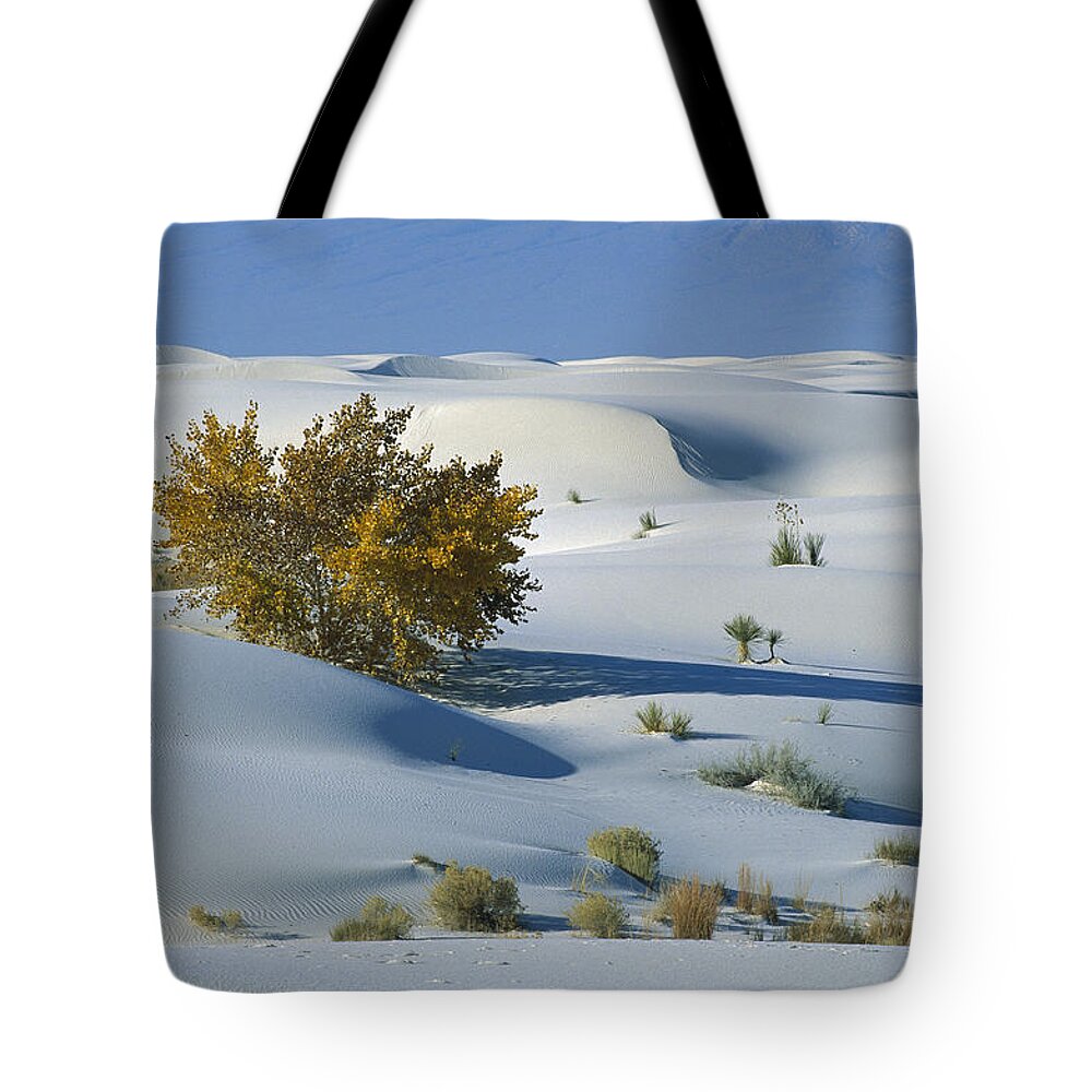 00198316 Tote Bag featuring the photograph Fremont Cottonwood at White Sands by Konrad Wothe