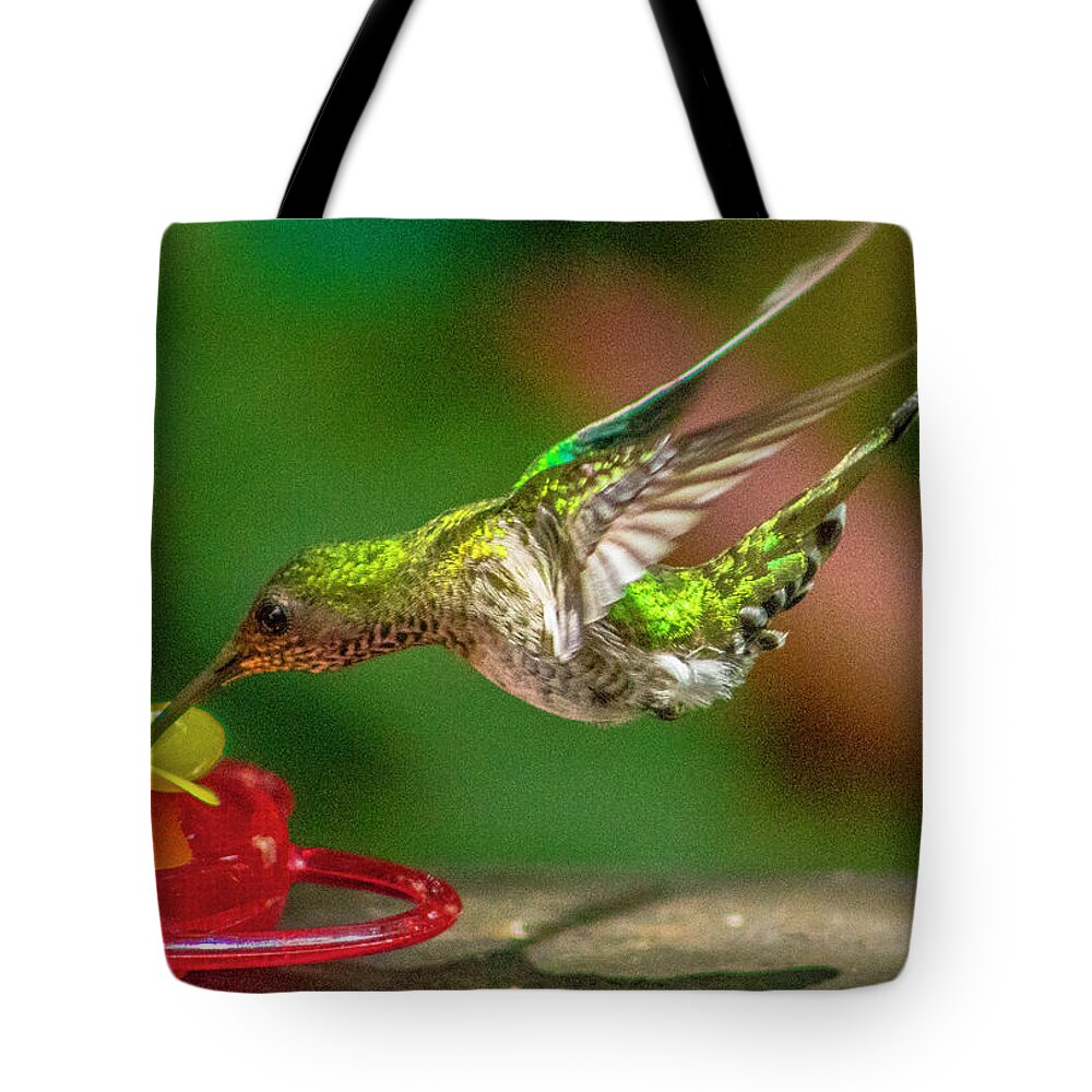 Animals Tote Bag featuring the photograph Frequent Flyer 3 by Venetia Featherstone-Witty