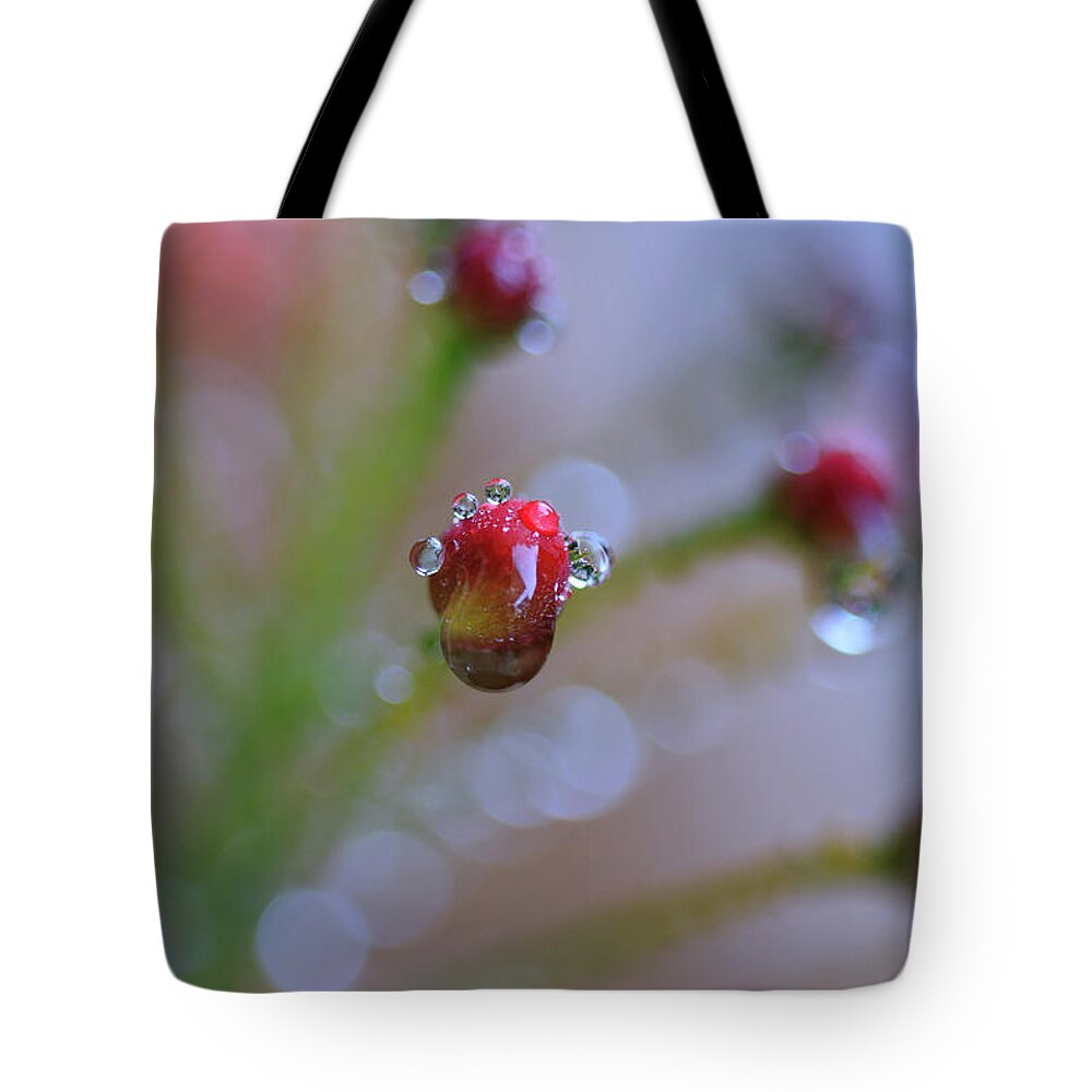 Blossom Tote Bag featuring the photograph Fresh Blossom by Ridwan Photography