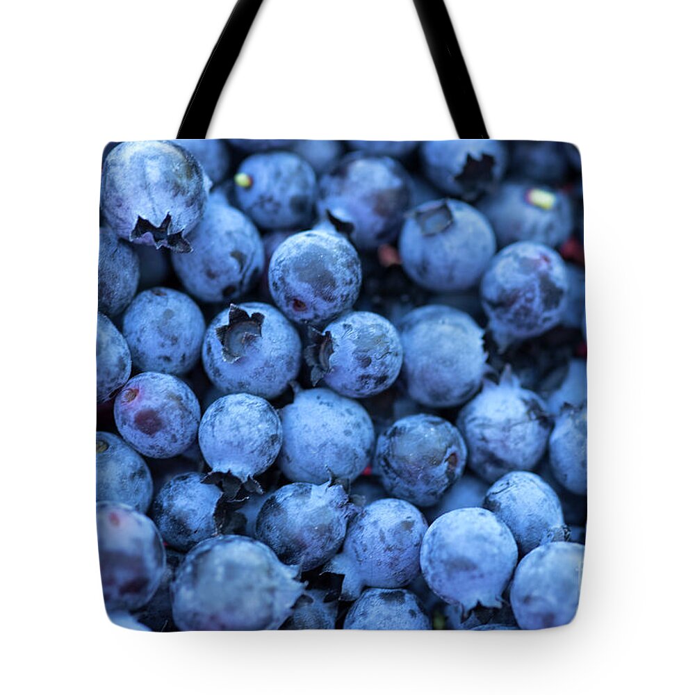 Fresh Blueberries Tote Bag featuring the photograph Fresh Blueberries by Alana Ranney