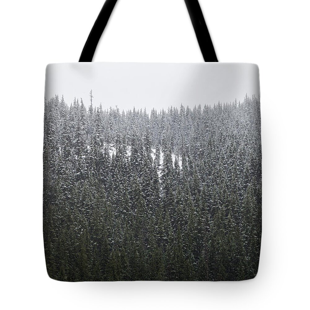 Central Oregon Tote Bag featuring the photograph Fresh Snow by Scott Slone
