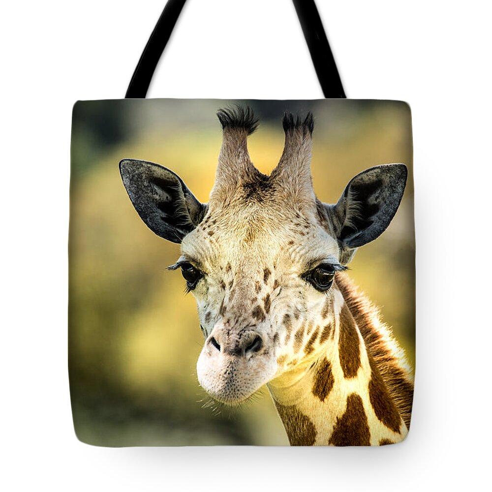 Giraffe Tote Bag featuring the photograph Friendly Giraffe Portrait by Janis Knight