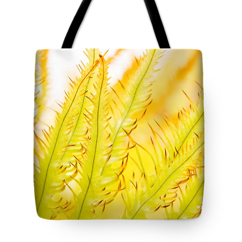 Botanic Gardens Tote Bag featuring the photograph Friends by Marilyn Cornwell
