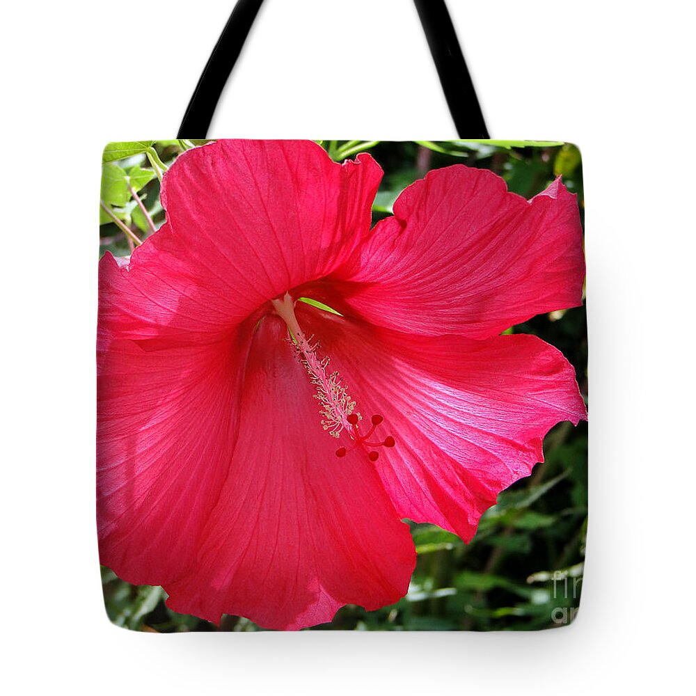 Hibiscus Tote Bag featuring the photograph Frilly Red Hibiscus by Sue Melvin