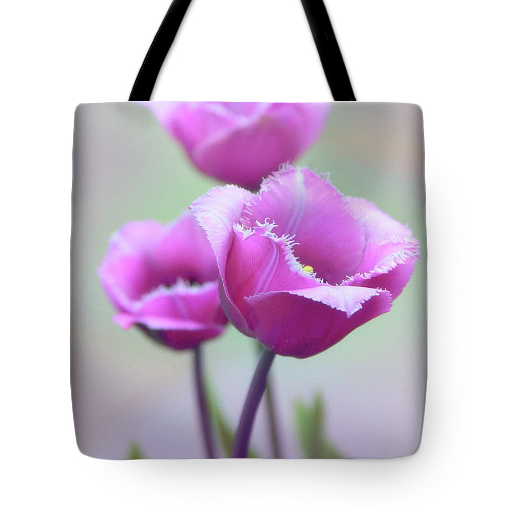 Tulips Tote Bag featuring the photograph Fringe Tulips by Jessica Jenney