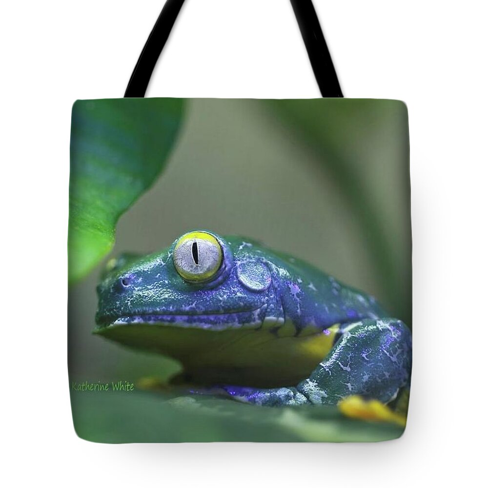 Amphibian Tote Bag featuring the photograph Fringed Leaf Frog by Katherine White
