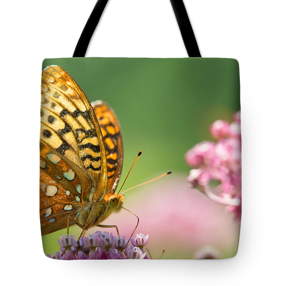 Butterfly Tote Bag featuring the photograph Fritillary by Brian Hale
