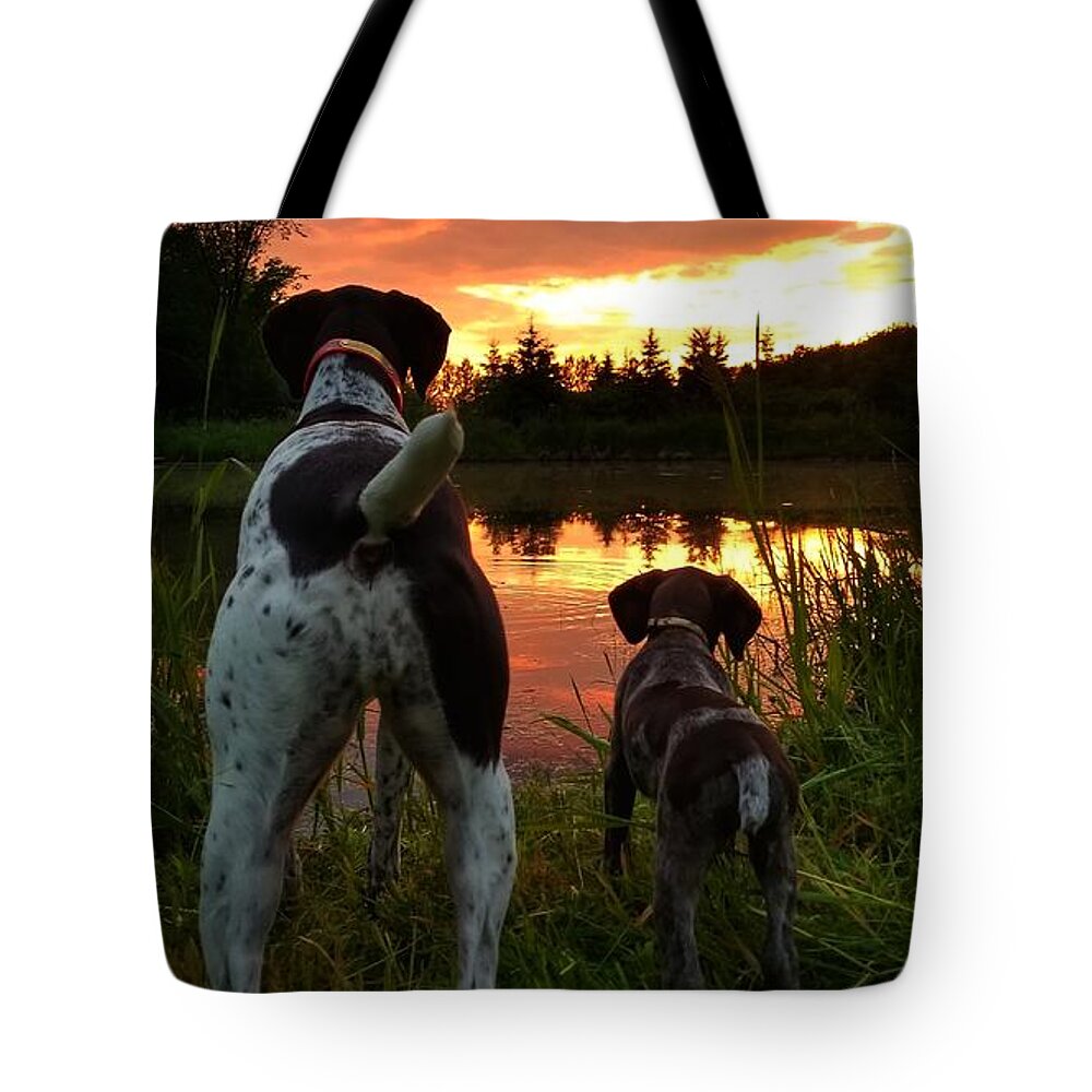 Gsp Tote Bag featuring the photograph Frog Hunters 2 by Brook Burling