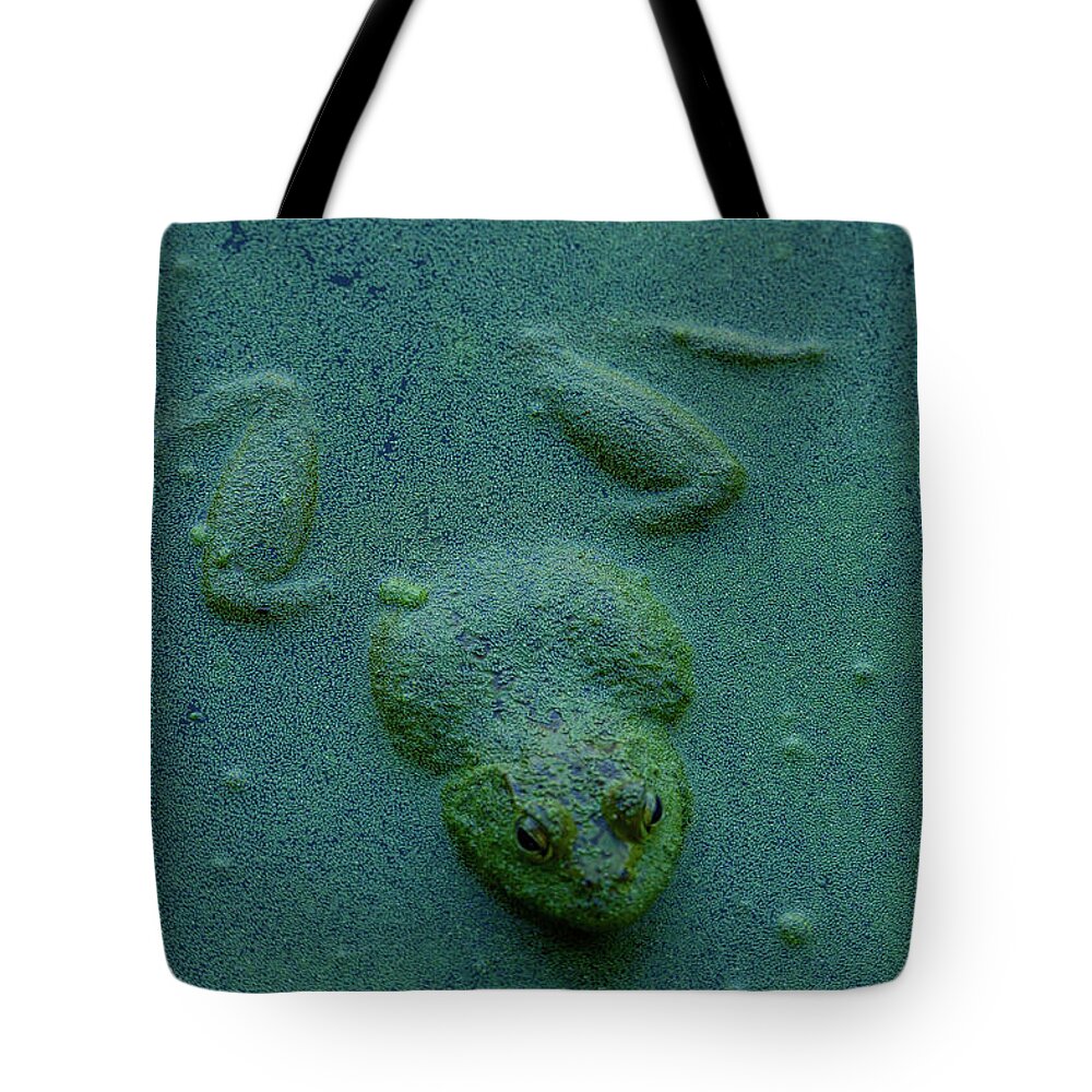 Frog Tote Bag featuring the photograph Frog by Jerry Cahill