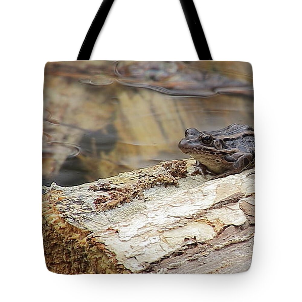 Nature Tote Bag featuring the photograph Frog on a Log by David Rosenthal